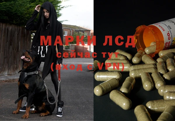 MDMA Беломорск